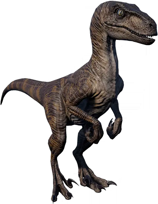 Velociraptor Jurassic World Evolution Wiki Velociraptor Png Raptor Png