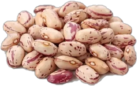 Kidney Beans Png Free File Download Pinto Beans Png Beans Png