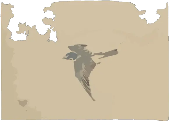 A Bird Flying To The Left Seen From Above Png Svg Clip Seabird Birds Flying Png