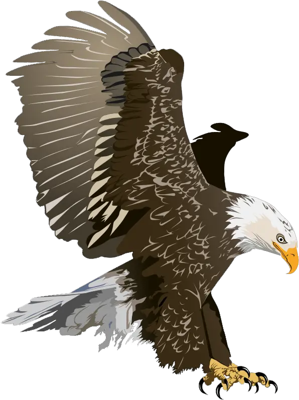 Bald Eagle Free Clipart Png Image With Bald Eagle Png Bald Eagle Transparent