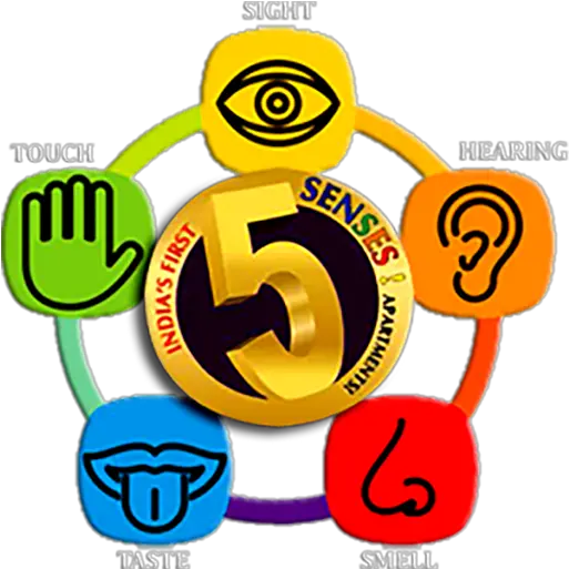 Learn The 5 Senses Toyor Baby English 5 Senses Vector Png 5 Senses Icon
