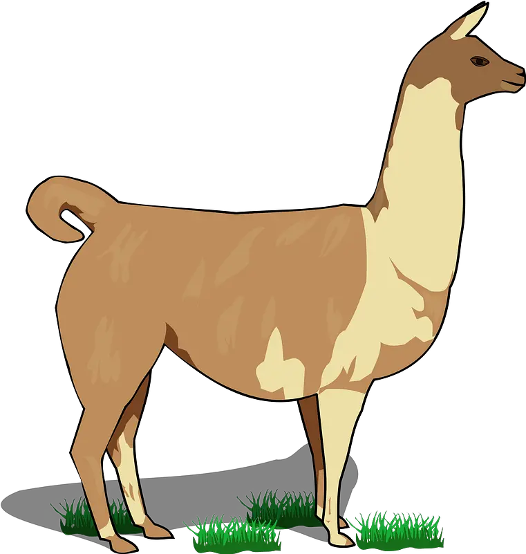 Llama Clipart Free Download Transparent Png Creazilla Llama Body Parts Llama Transparent