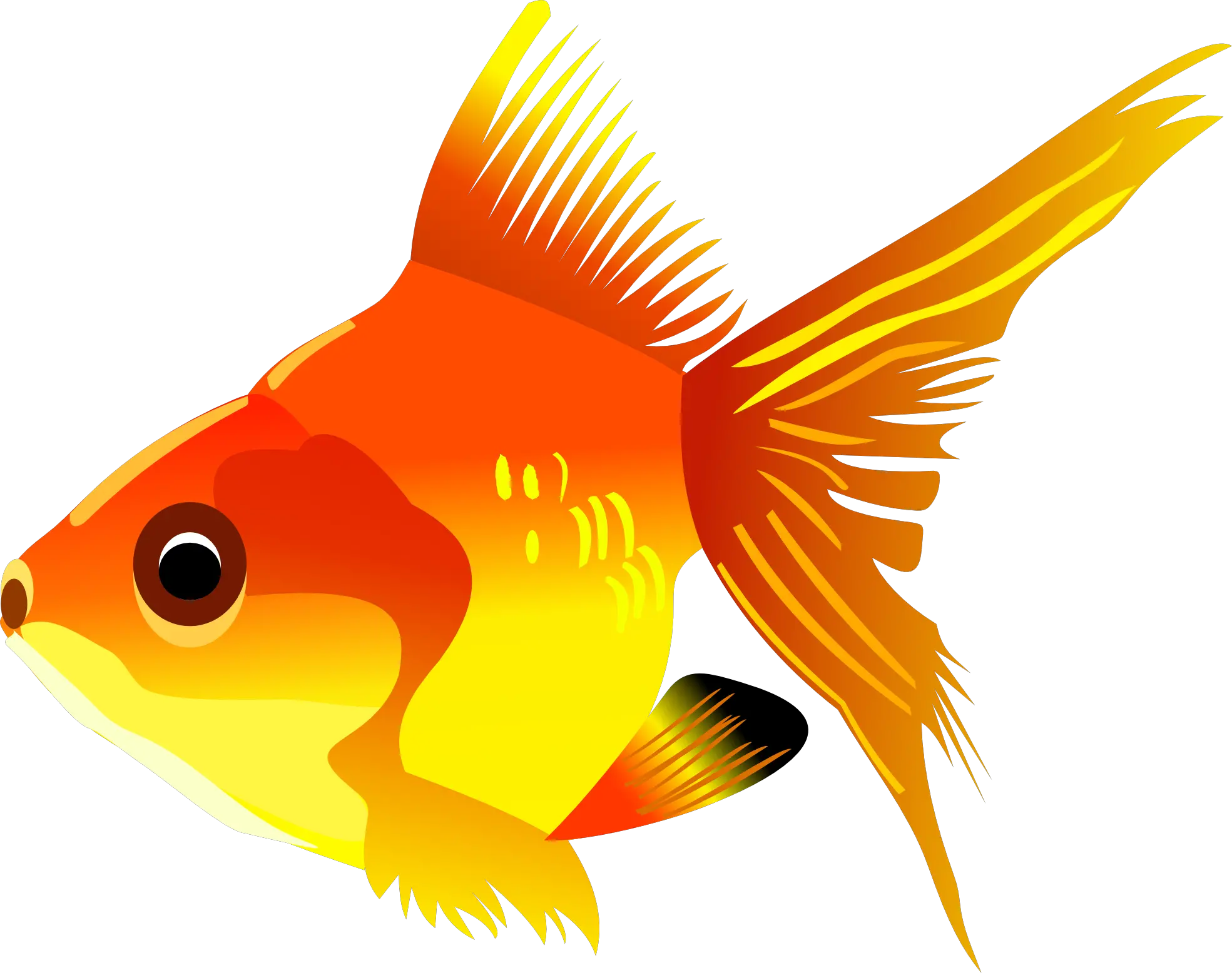 Fish Clipart Black And White Png