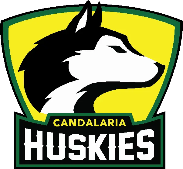 About Us Candalaria Elementary School Washington Huskies Logo Png Husky Icon Transparent