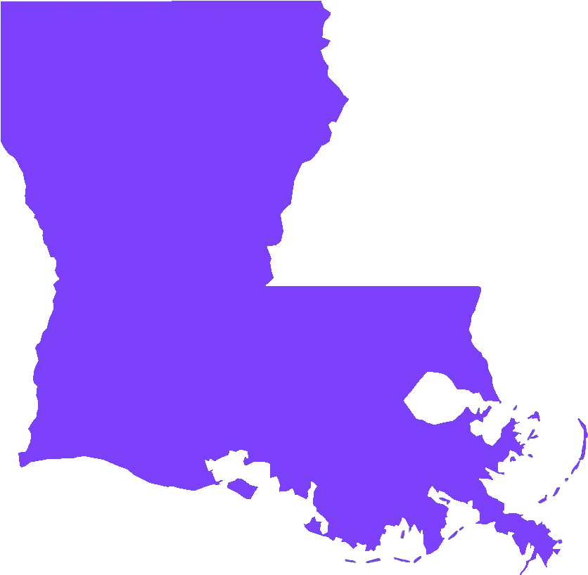 The South Got Something To Say A Celebration Of Southern Louisiana Election Map 2020 Png Avenge The Fallen Png