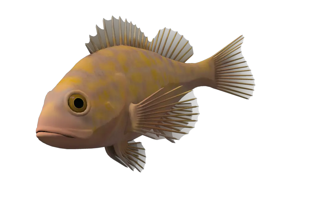 Fish Bones Png