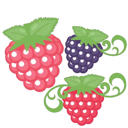 Raspberry Set Svg Scrapbook Cut File Cute Clipart Files For Cute Raspberry Clipart Png Berry Png