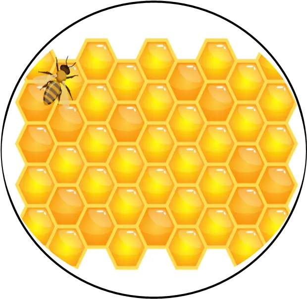 Backyard Bees Nyc U2013 Skin Sweetnessu2026inspired By Nature Horizontal Png Bee Icon Vector