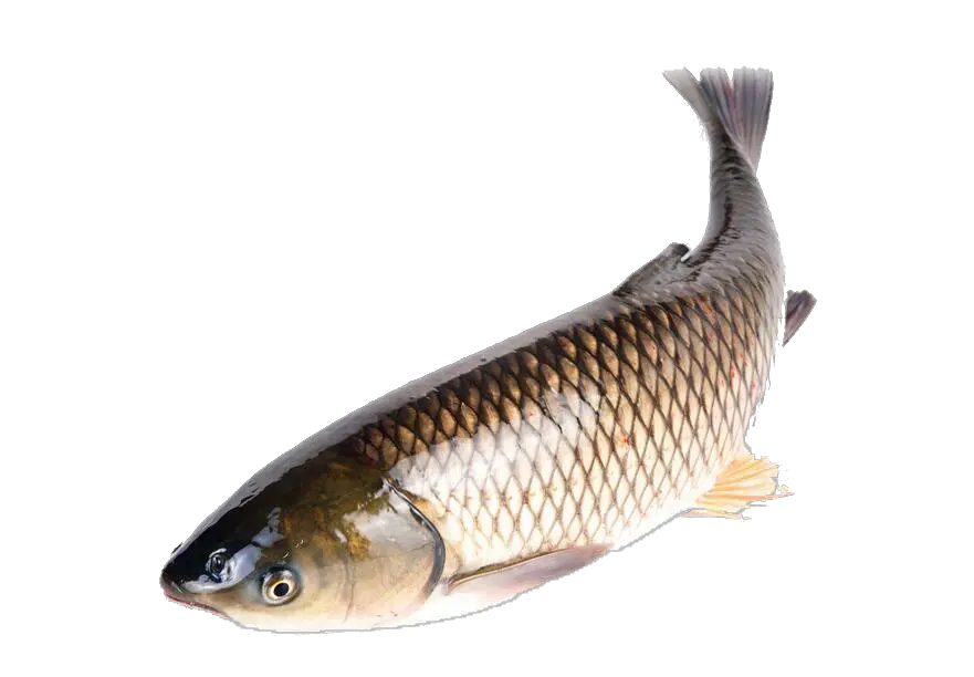 Fish And Chips Png
