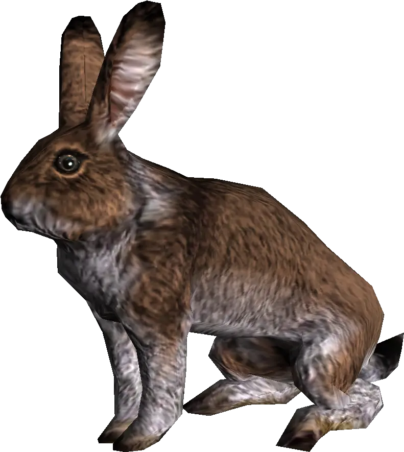 Rabbit Skyrim Wiki Skyrim Rabbit Png Rabbit Png