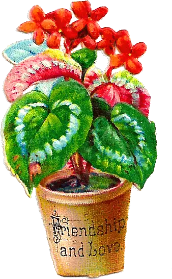 Antique Images Free Flower Graphic Red Flowers In Transparent Pot Flower Clipart Png Flower Graphic Png png