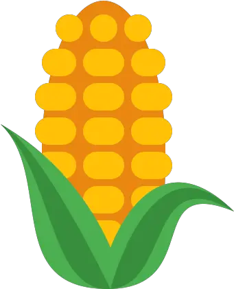 Corn Icon Free Download Png And Vector Maize Icon Png Corn Png