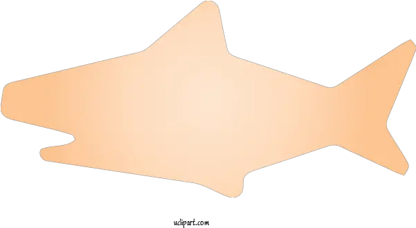 Animals Orange Star Peach For Shark Shark Clipart Animals Fish Png Shark Transparent