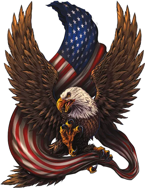 Hd American Patriotic Bald Eagle Free Unlimited Download Png Head