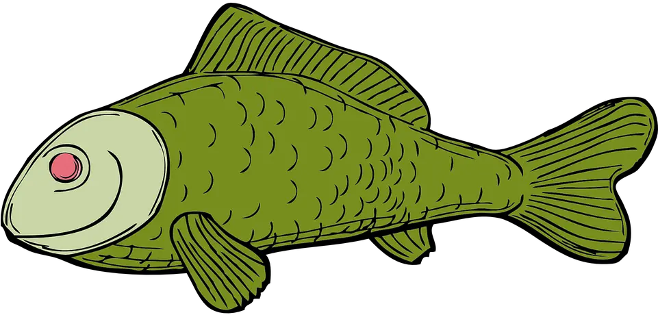 Cooked Fish Png