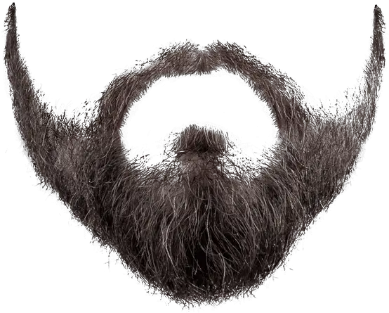 Download Free Png White Beard Beard Transparent Png White Beard Png