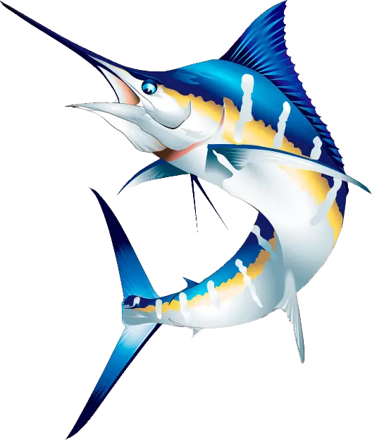 Beautiful Fish Png