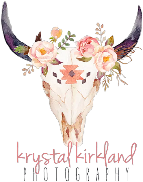 Library Of Boho Cow Head With Flower Crown Transparent Boho Skull With Flowers Png Boho Logo