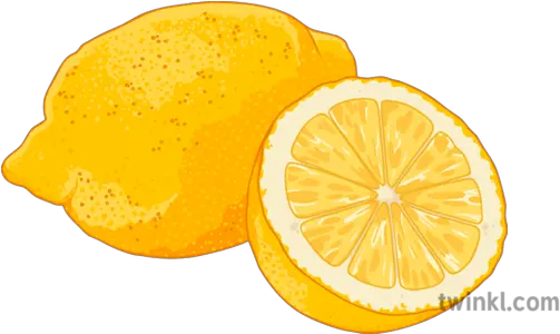 Lemon Illustration Twinkl Bitter Orange Png Lemon Png