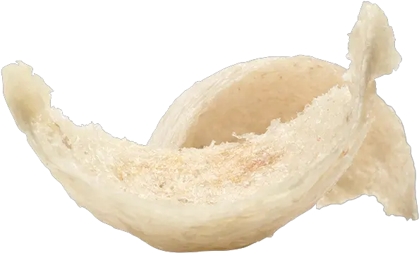 Zheng Feng Equity Fortune Cookie Png Bird Nest Png