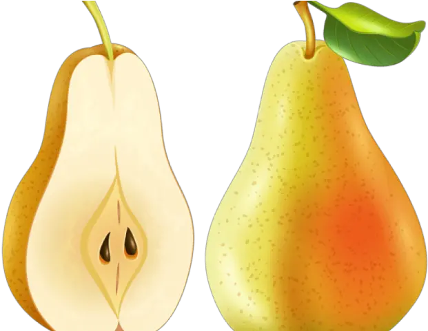 Pear Png Transparent Images 19 3635 X 2474 Webcomicmsnet Pear Pear Png