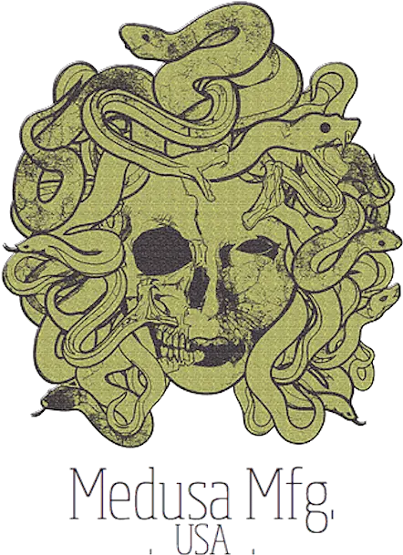 Download Medusa Manufacturing Medusa Snake Hair Png Image Medusa Snake Hair Medusa Png