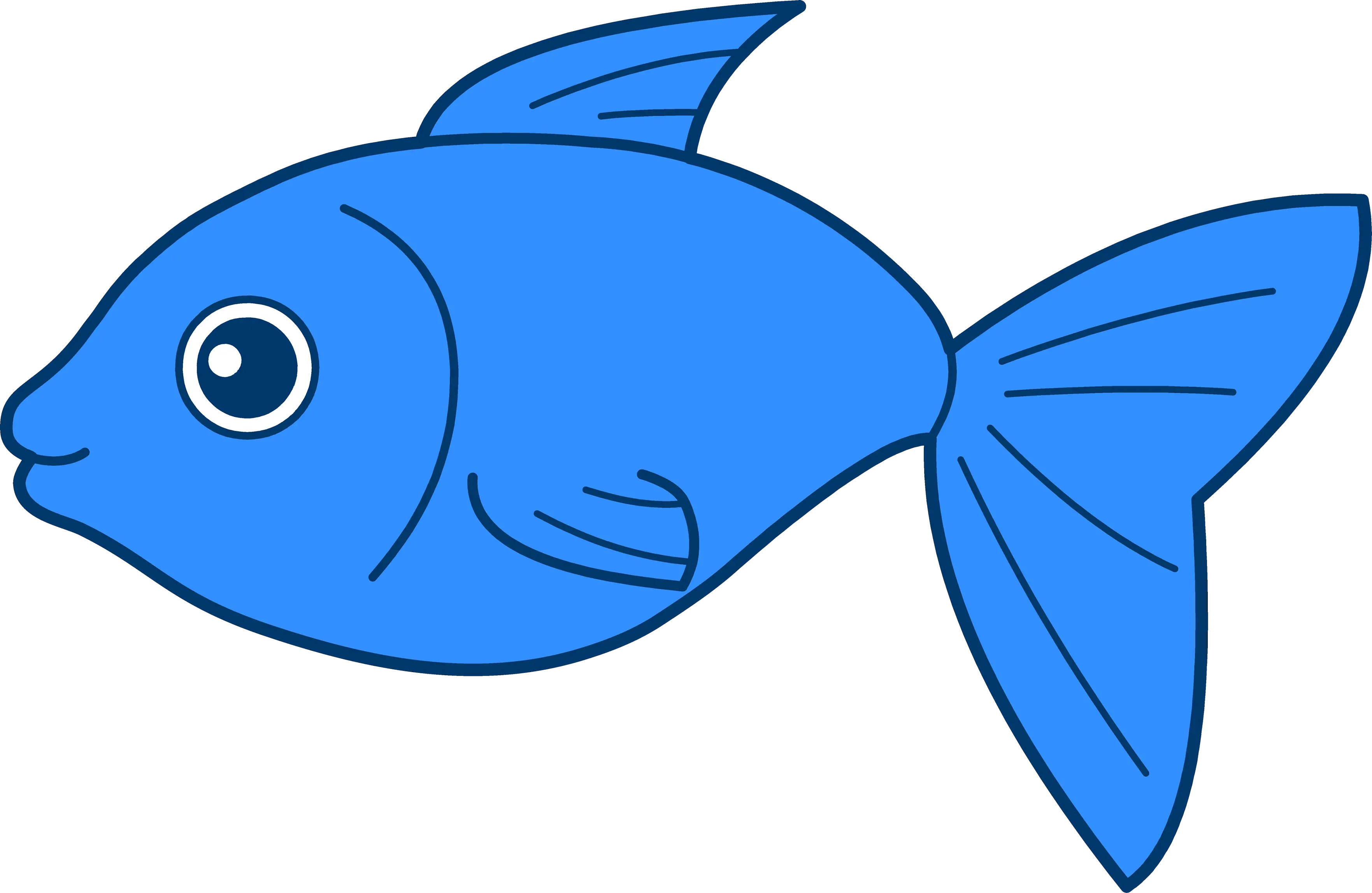 Cute Fish Png