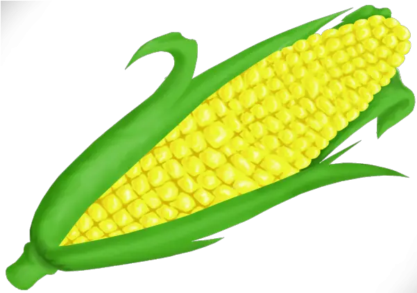 Corn Clipart Vectors Psd Corn Clipart Png Corn Clipart Png