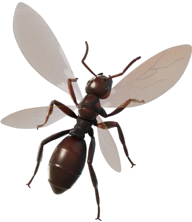 Fortnite Ant Tonio Back Bling Png Pictures Images Ant Icon