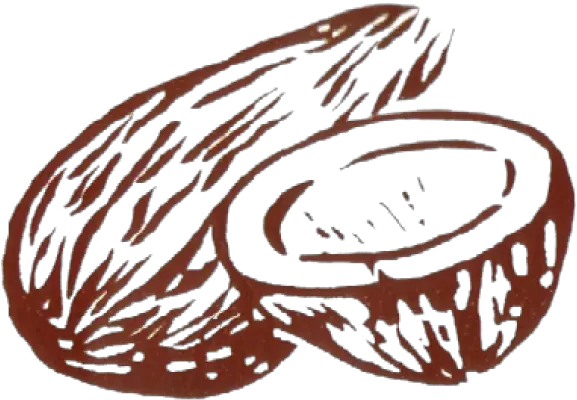 Politics Clipart Ballot Indian Election Symbols Coconut Tamil Nadu Panchayat Election Symbols Png Coconut Png