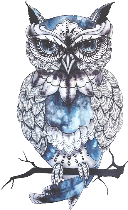 Transparent Picture Tumblr Blue Owl Tattoo Png Forest Transparent Background