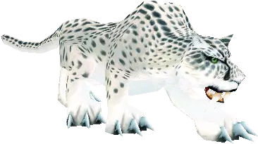 Snow Leopard Classicpetscom African Leopard Png Snow Leopard Png