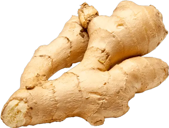 Ginger Png Image For Free Download Ginger Root Ginger Png