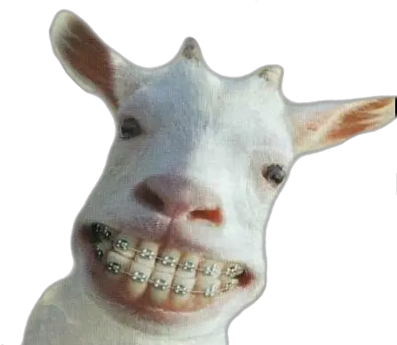 Download Crazy Goat Most Funniest Png Goat Png