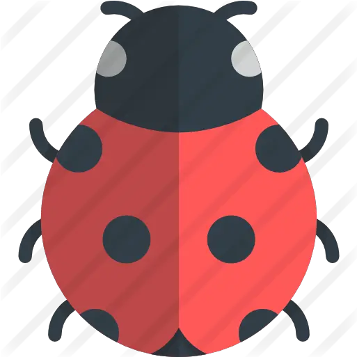 Ladybug Free Animals Icons Ladybug Icon Svg Png Ladybug Png