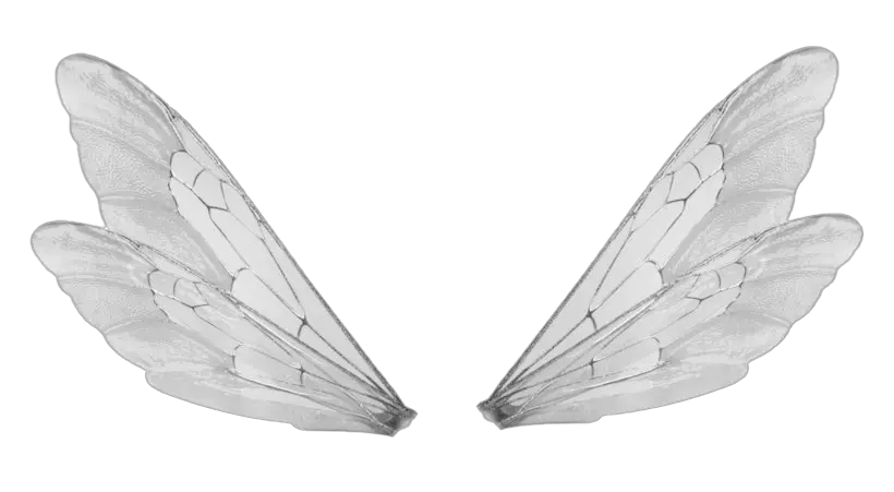 Download Wings Transparent Bee Male Fairy Wings Png Png Realistic Fairy Wings Png Wings Png