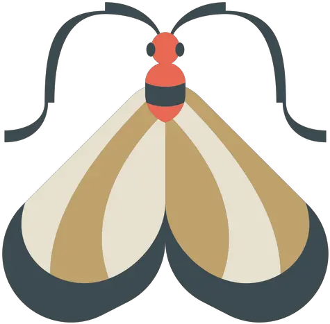 Transparent Png Svg Vector File Moths And Butterflies Moth Png