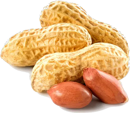 Free Transparent Png Images Icons Peanut Png Peanut Transparent