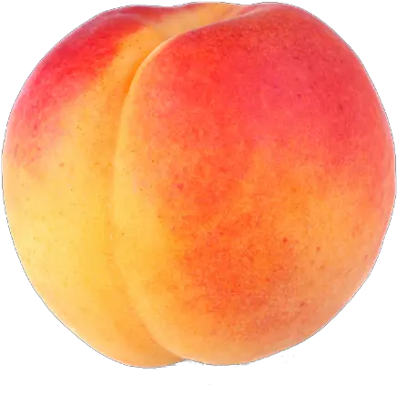 Peach Png Peach Png Peaches Png