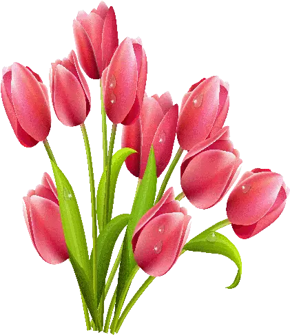 Easter Flower Download Png Image Mart Easter Flowers Transparent Background Easter Lily Png png