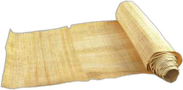 Partly Unrolled Papyrus Roll Lumber Png Papyrus Png