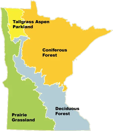 Native Roots Minnesota State Shape Png Map Icon Grassland