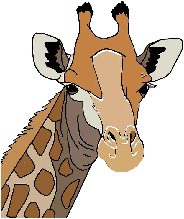 Giraffe Head Clipart Giraffe Head Clip Art Png Head Transparent