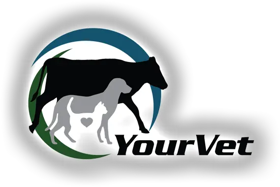 Your Vet Waipu Mangawhai To Maungaturoto And Ruakaka Png Veterinary Logo