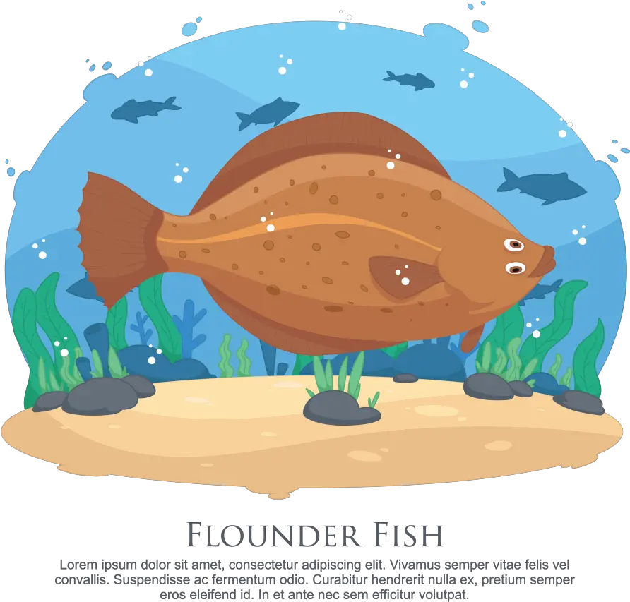 Flounder Fish Vector Illustration Download Free Vectors Vector Graphics Png Flounder Png