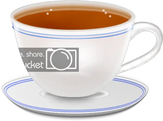 Download Tea Cup Png Clipart Free Portable Network Graphics Cup Png