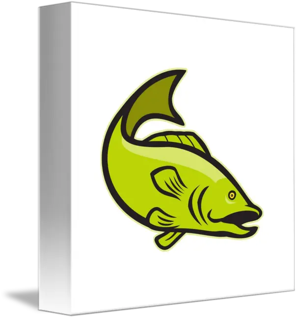 Largemouth Bass Fish Png Bass Fish Icon