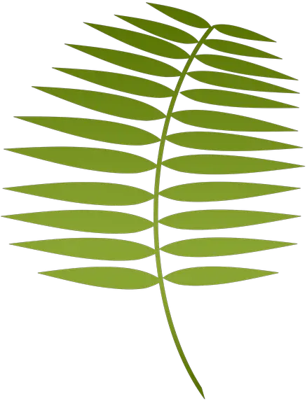 Palm Leaf Png Lent Clipart Palm Leaf Lent Palm 485588 Smooth Sumac Palm Leaf Png