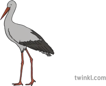 White Stork Illustration Twinkl Giants Netball Logo Black And White Png Stork Png