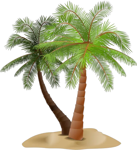 Library Of Date Palm Tree Png Stock Files Portable Network Graphics Palm Trees Png